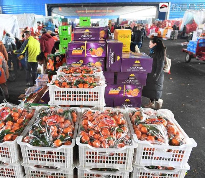 广州云侬实业:科技引领未来趋势