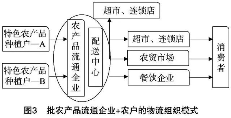 蔬菜种植:走进绿色的田野